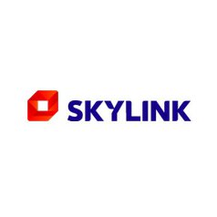 logo skylink.jpg
